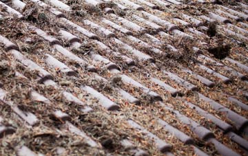 Low Valleyfield roof cleaning companies