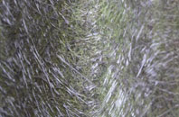 Low Valleyfield fibreglass roof work